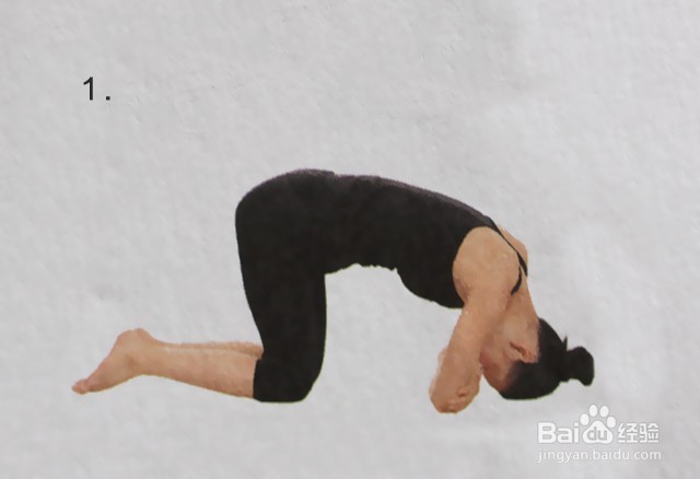进阶体式——头倒立第四式