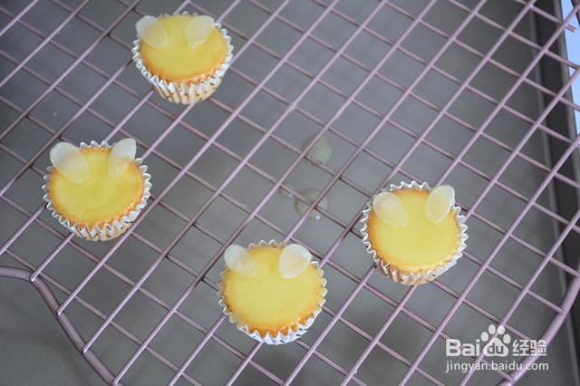 松软蓬松可妮兔纸杯蛋糕