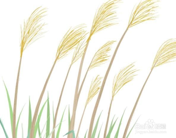 增强免疫力的方法都有哪些