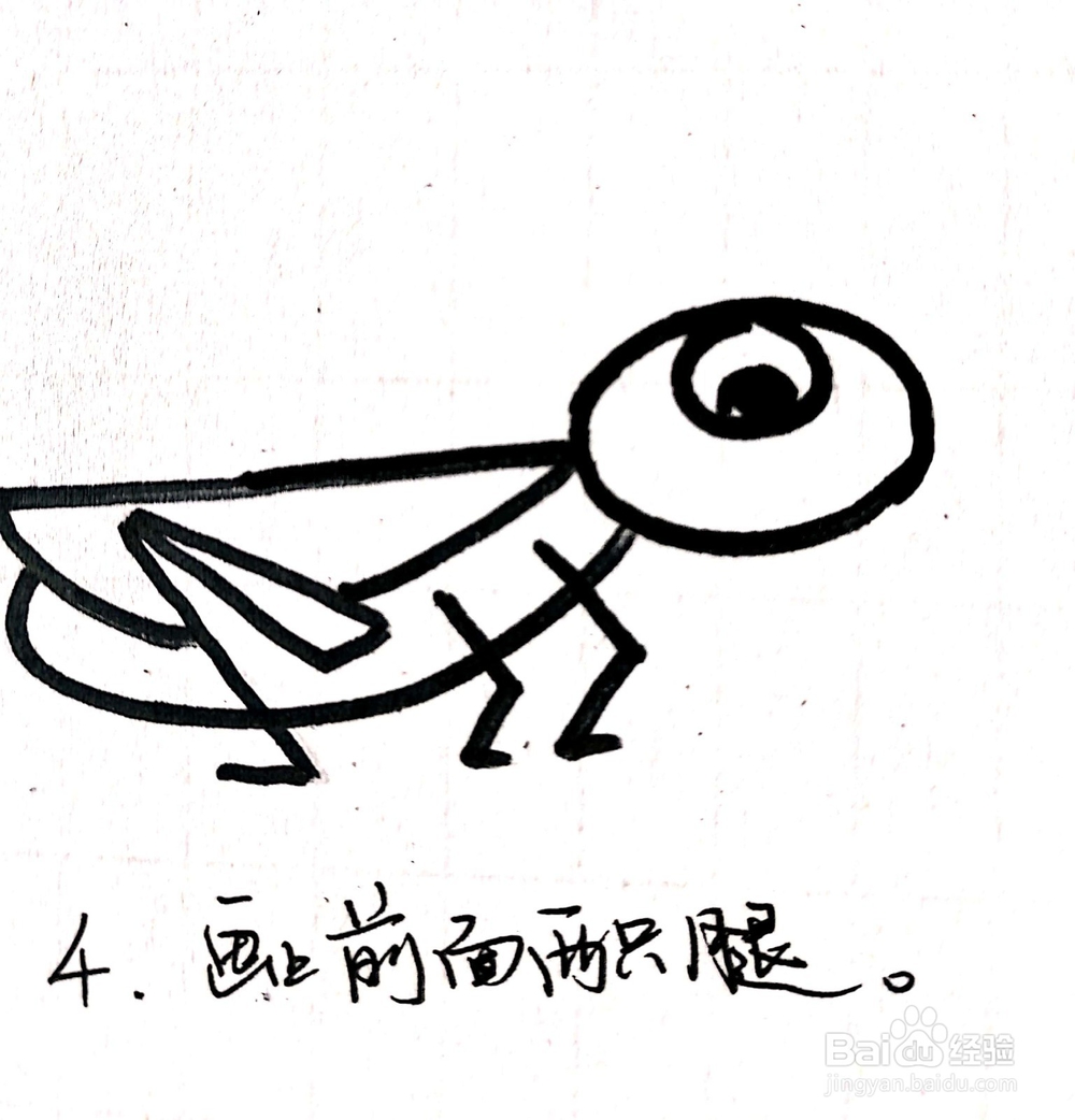 《生活中常见的昆虫》系列之蝗虫简笔画