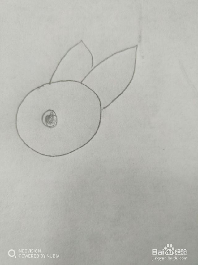 可爱小兔子怎么画[图]