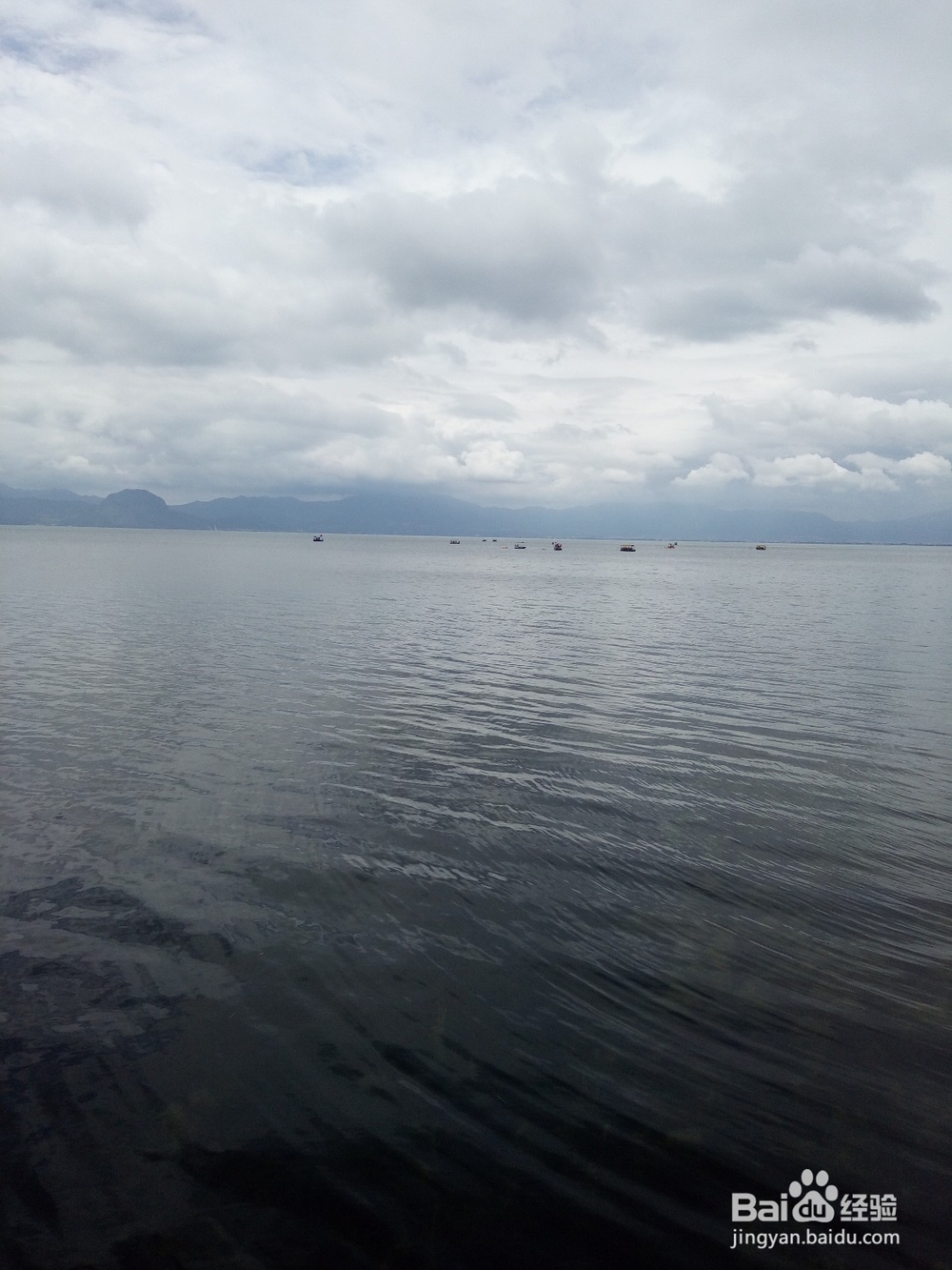 云南最美玉溪抚仙湖之樱花谷湿地公园情侣约会旅