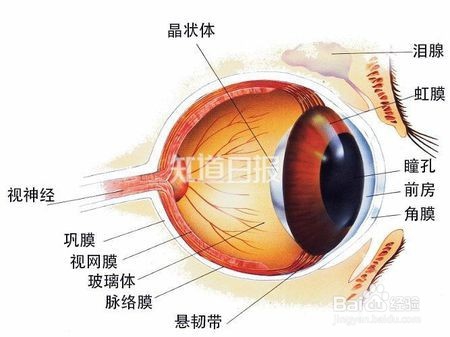 “气体致盲”事件是怎么发生的？1