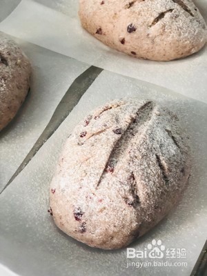 核桃蔓越莓全麦欧包的做法