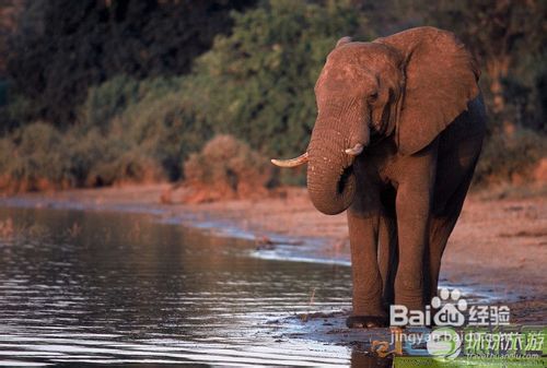 环球挖掘世界上9大旅游最佳拍摄地