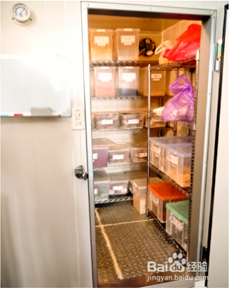 中草药生虫如何防止