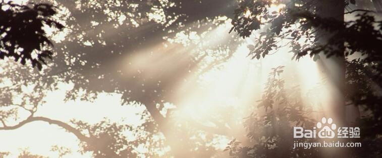 生活的希望你是如何确立起来的？