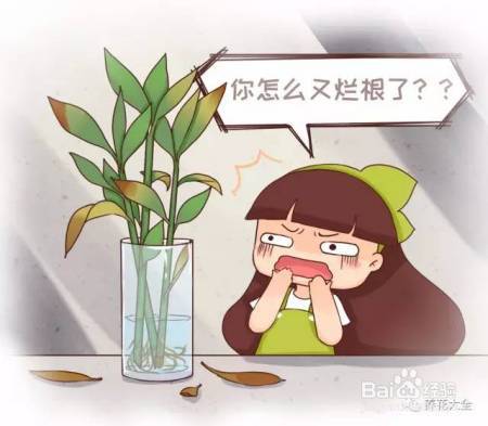 99%的花都死于这1点，看了保花不死！