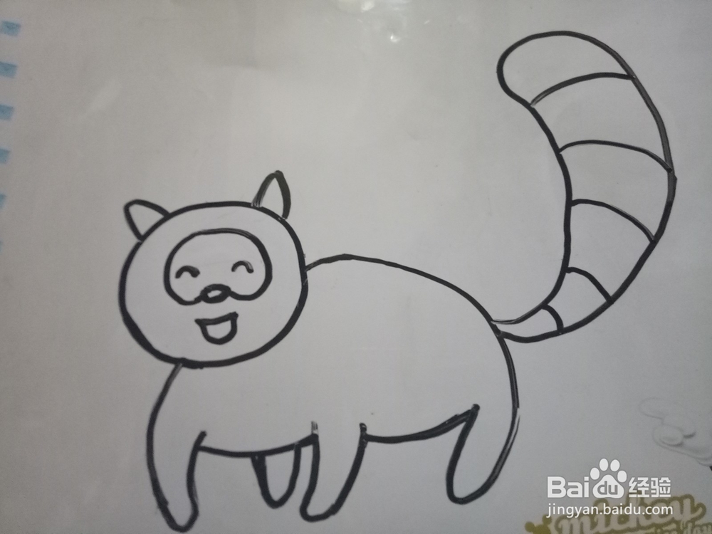 简笔画小浣熊