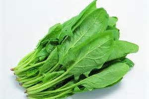 月经后吃什么补血？