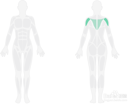 3D肩部轰炸训练