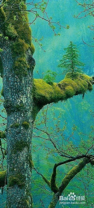 自主创业的三大方法