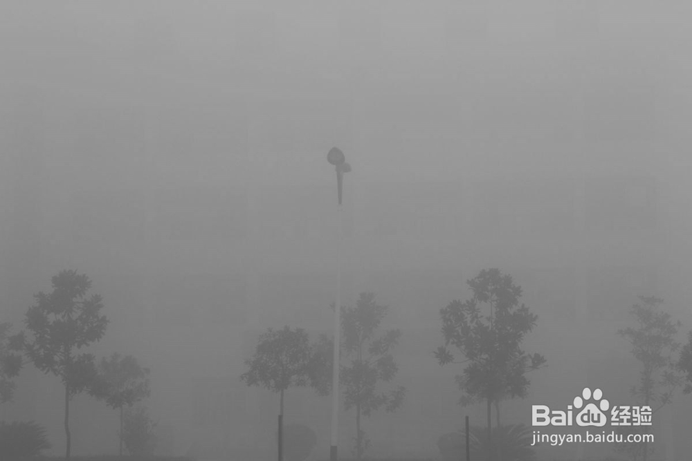 山区夜间开车遇到大雾怎么办？