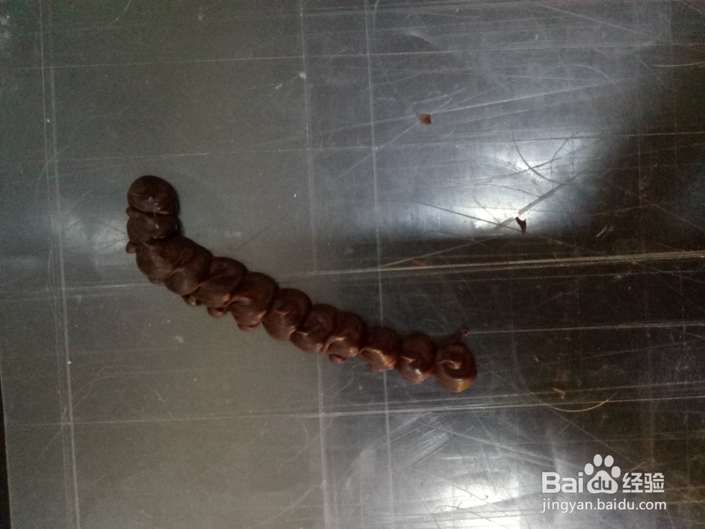 制作巧克力椰子树形状的配件