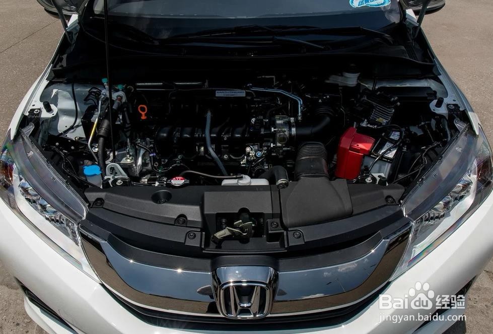 本田锋范使用感