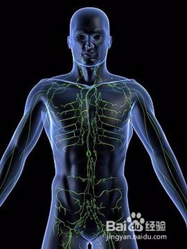 喝酒对身体的最主要危害是什么？