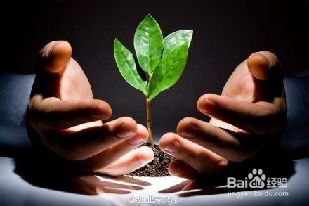 如何选择合适的快递物流服务