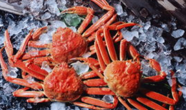 螃蟹从冰箱里拿出来为什么不动了