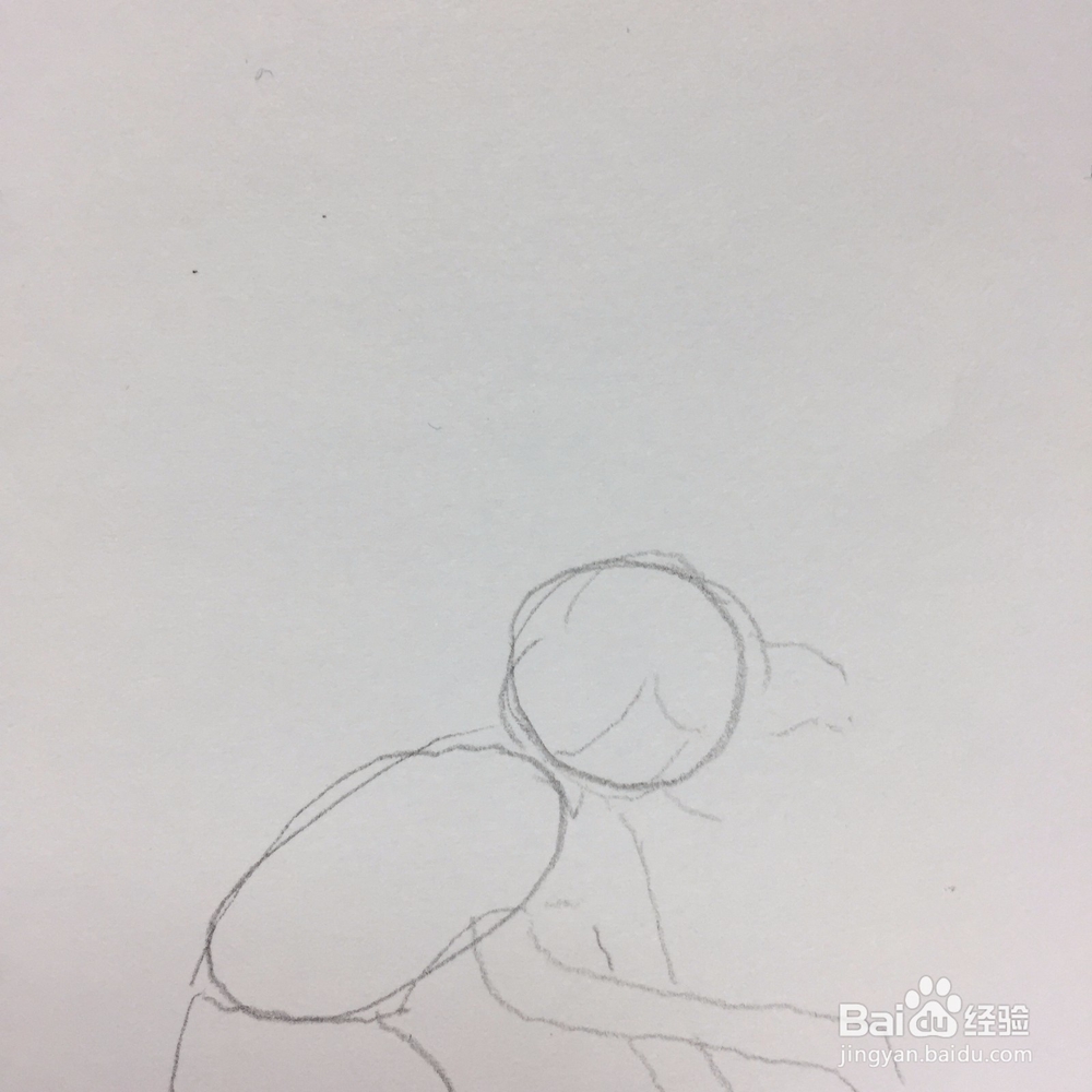 人体素描结构的训练方法