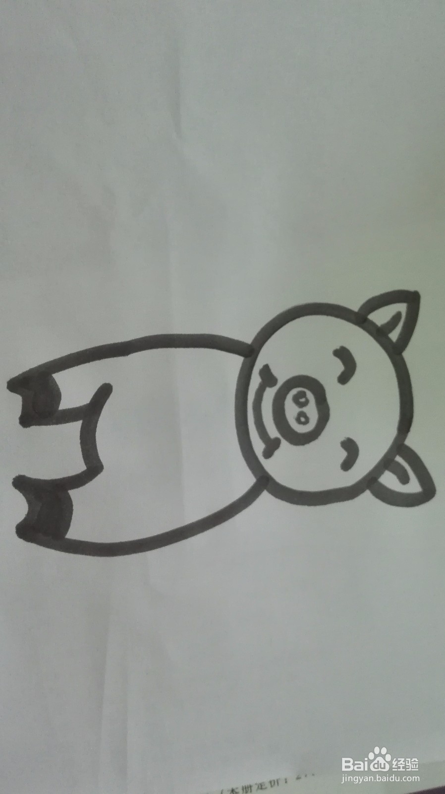 如何画出可爱的小猪