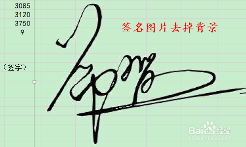 Excel表格中如何插入手写签名?