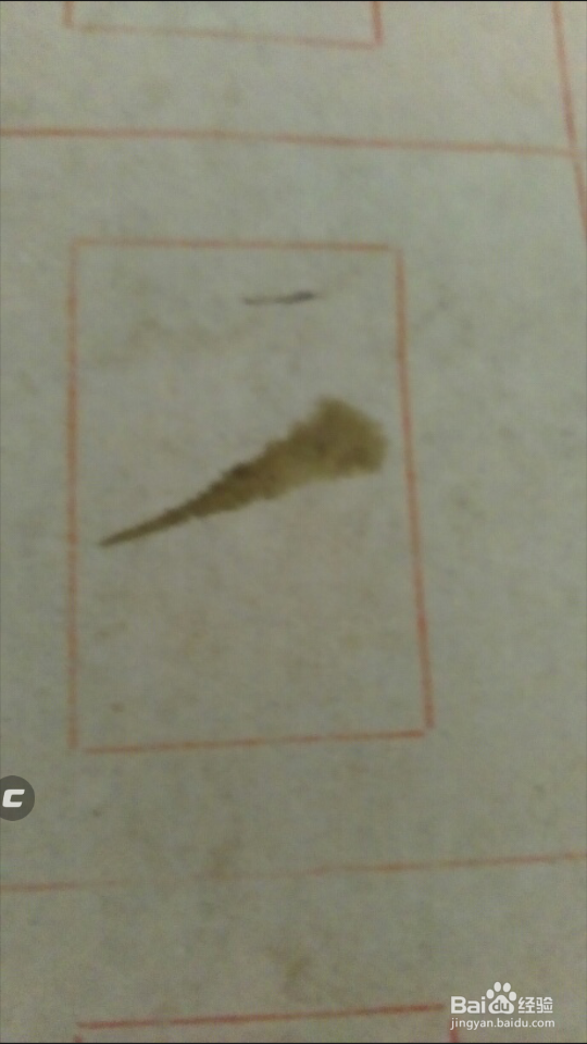 怎样写毛笔字撇