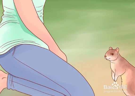 如何用手给松鼠喂食