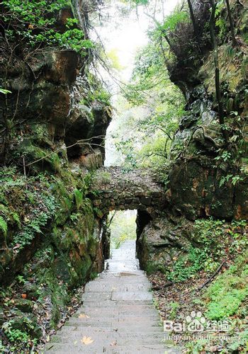 春节张家界自驾游