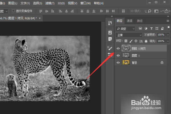 怎样在ps中把图片变成线描的?