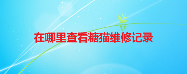 在哪里查看糖猫维修记录