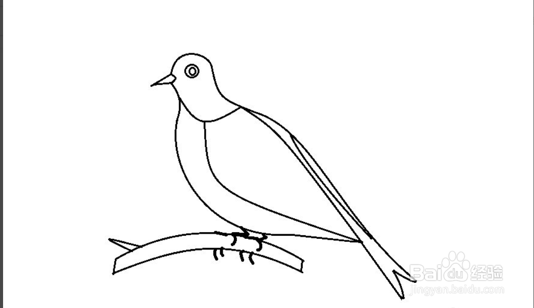 怎么简单画五彩鸟
