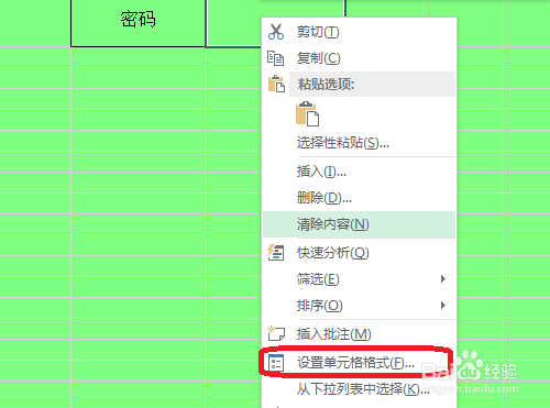 怎样在EXCEL中输入数字时以隐藏的形式显示