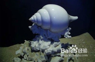 三亚亚龙湾旅游攻略