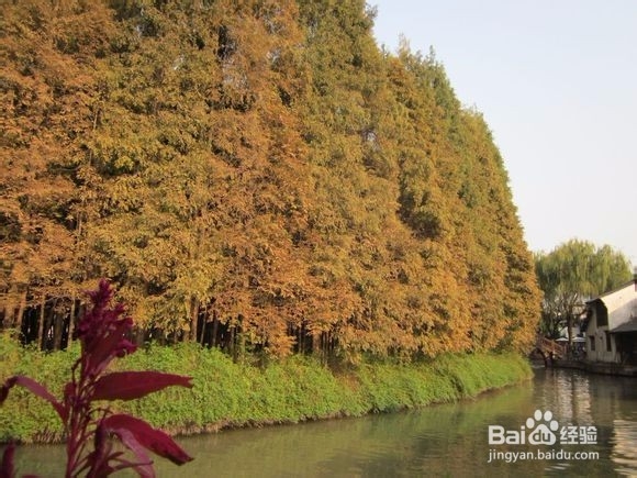 2015乌镇旅游攻略(超详细)