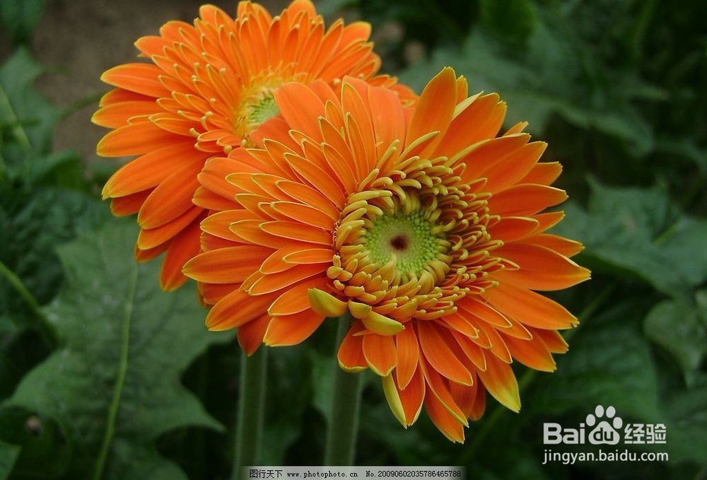 新房除甲醛这几个窍门你都知道吗？