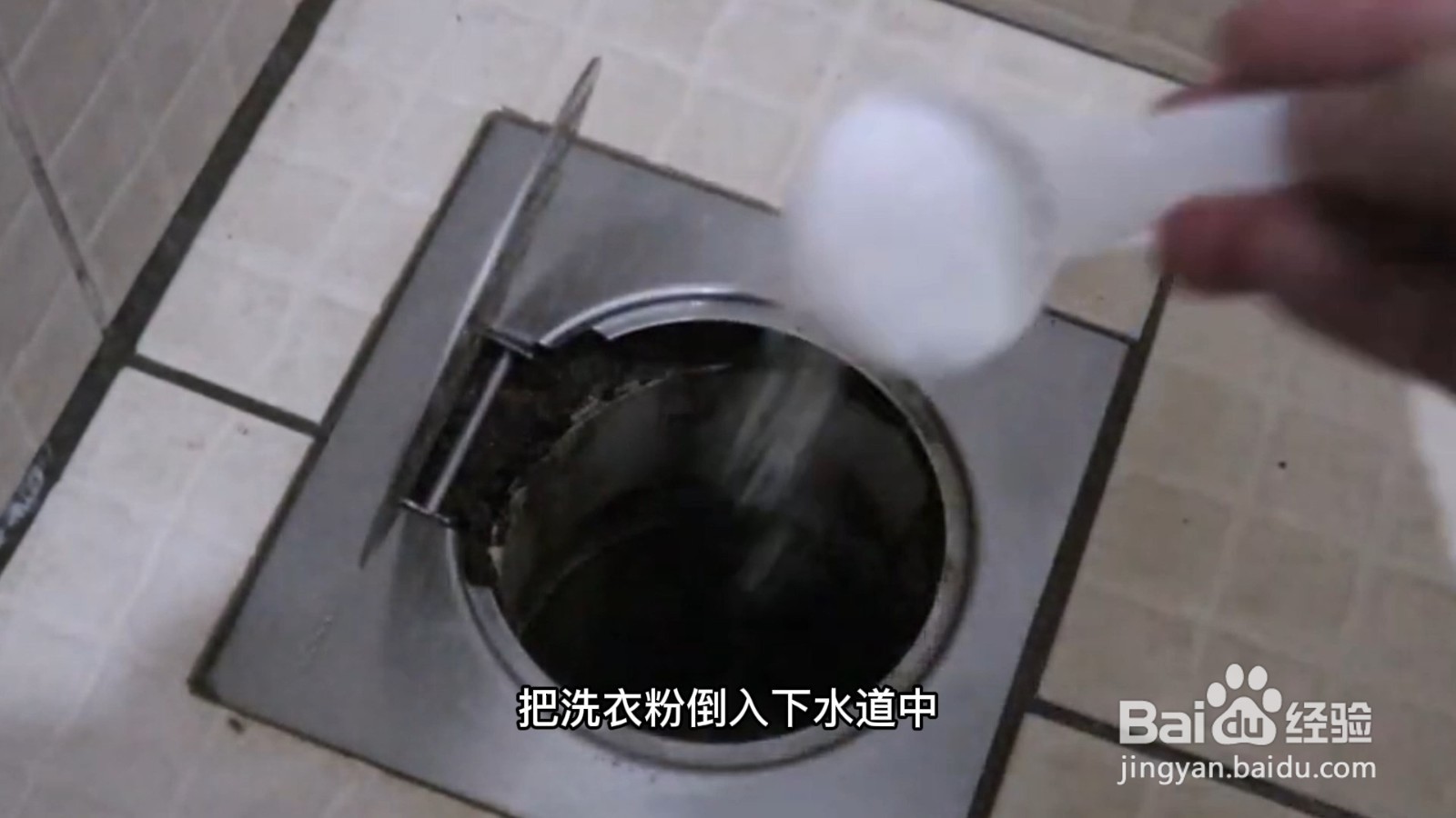 蚂蚁怎么能彻底消灭