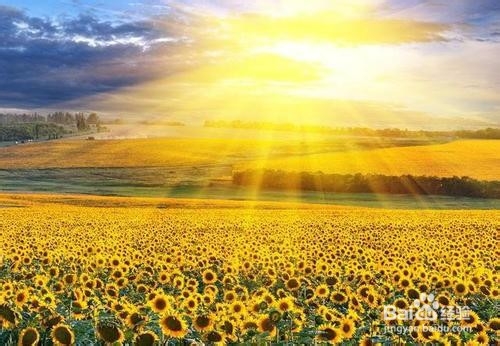 很烦的时候,应该做些什么