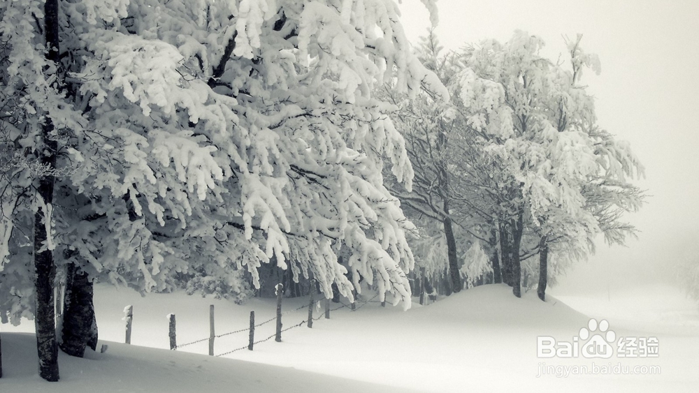 冬季户外赏雪要注意什么