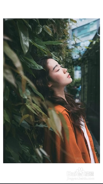 爬山虎如何拍出复古大片