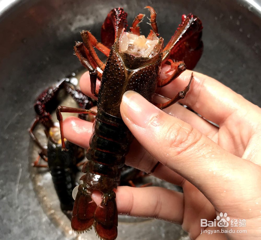 在家做麻辣小龙虾