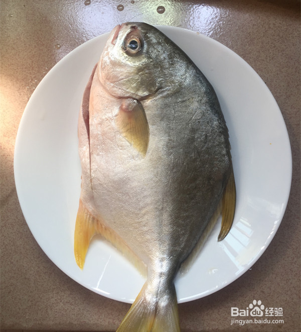黄豆干烧鲳鱼怎么做