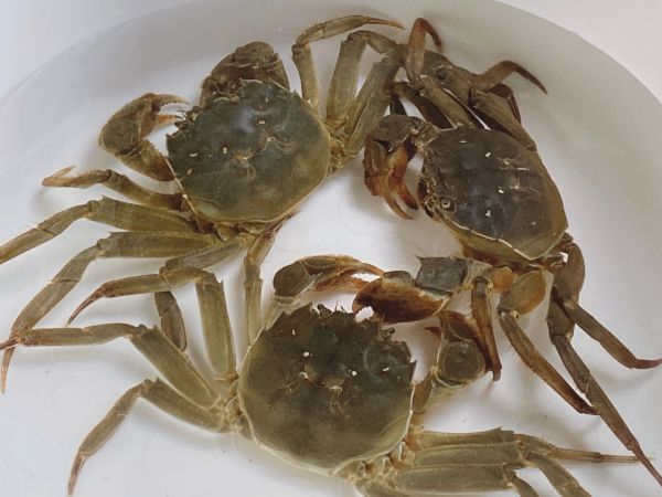 大闸蟹的别样蒸法