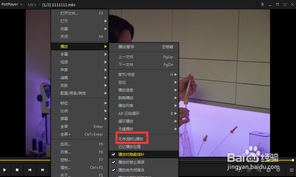 怎么使用potplayer的无序播放功能