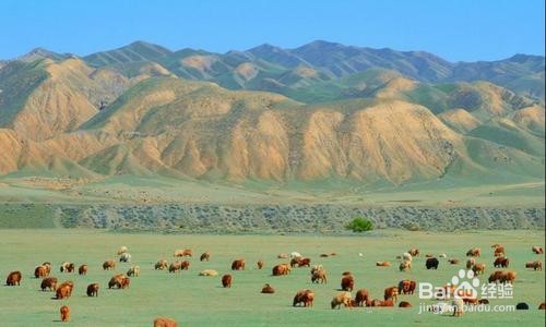 塔城周边好玩的人气旅游景点推荐