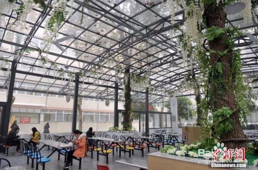 【校园指南】武昌首义学院食堂介绍