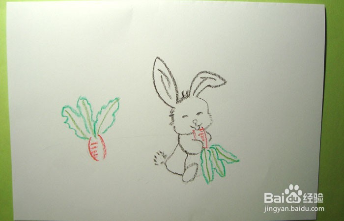儿童蜡笔画之吃萝卜的大白兔