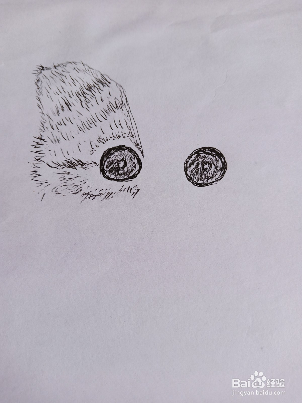 钢笔画猫的画法