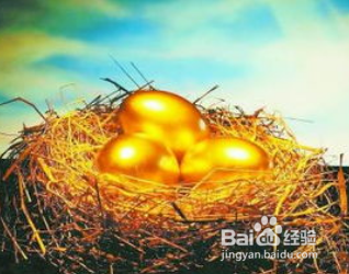 新手怎样学理财