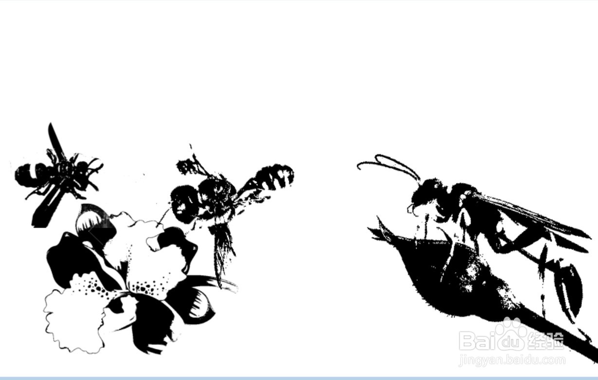 干泥蜂简笔画