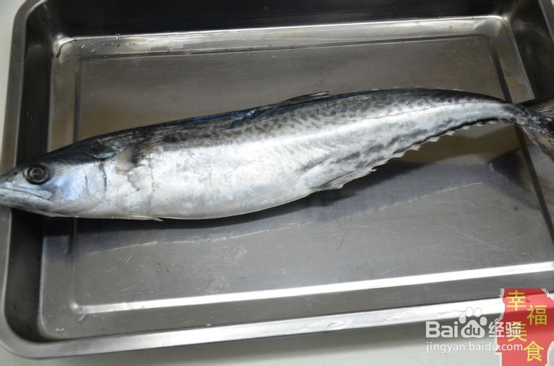 如何去做香煎鲅鱼